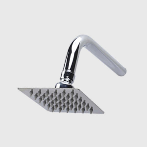 Wall Shower