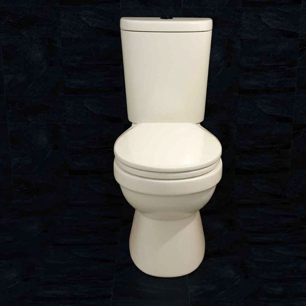 Commode Victoria Jet Flush Non Hydraulic Off White Stella