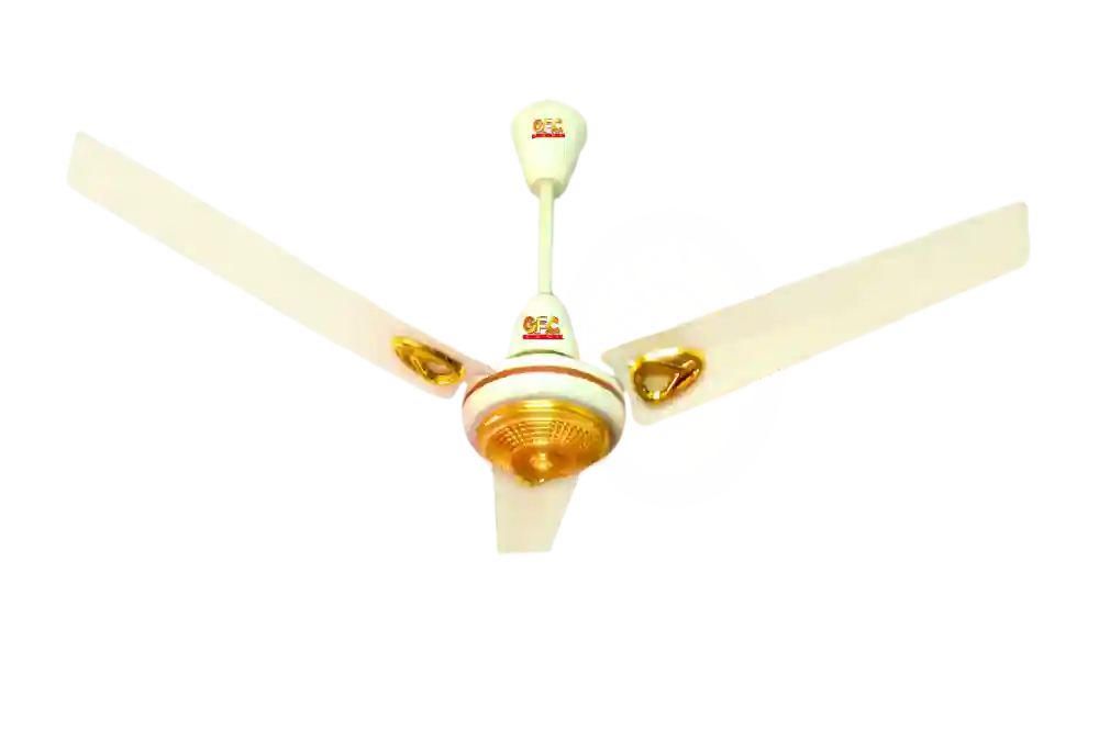 G.F.C Tulip Model