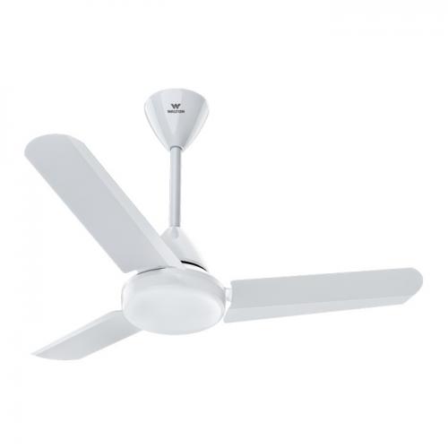 Walton Tulip Ceiling Fan (36")