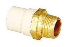 0.75/1 Inch Socket Male Brass Cpvc